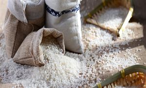 冰雪装备市场消费现状 冰雪装备行业市场投资前景分析(图2)
