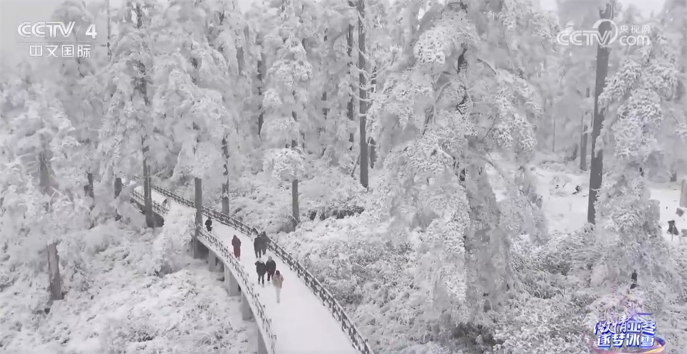 “南国冰雪”热度升温打造“冰雪+”多元场景 运动魅力加速释放(图2)