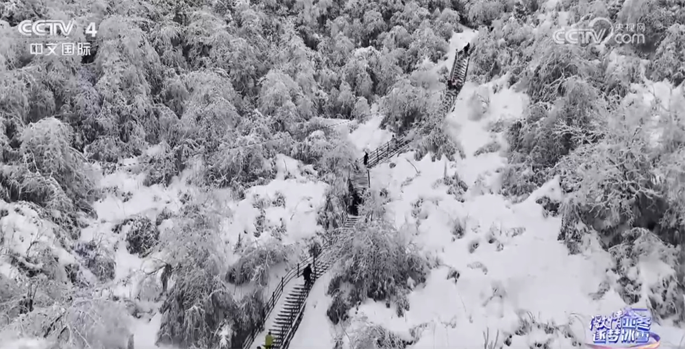 “南国冰雪”热度升温打造“冰雪+”多元场景 运动魅力加速释放(图3)