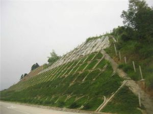 青海植生袋,高速公路边坡绿化植草袋