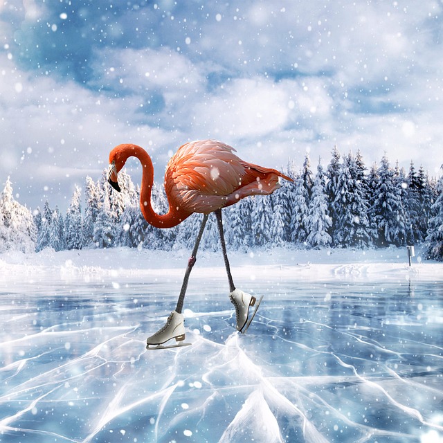 人工造雪系统