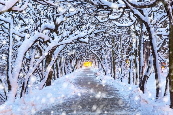 滑雪装备十大排名(图2)
