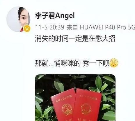 中国最美“花滑女神”曾和樊振东传恋情因国家队“阳谋”退役(图8)