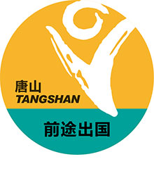 快来看看这些冰上项目都咋回事！-新东方前途出国(图1)
