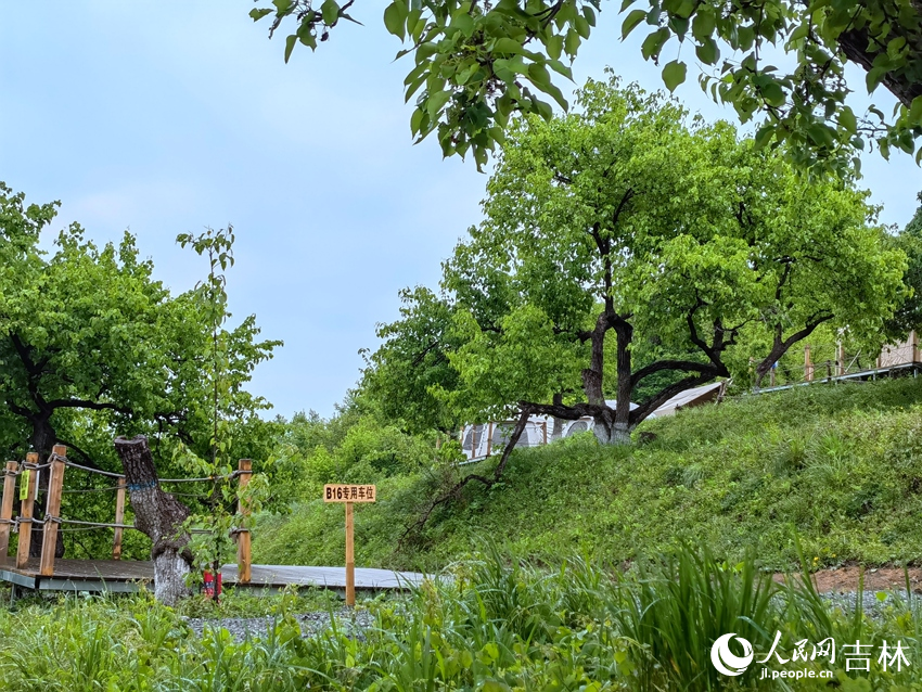 长春莲花山：以生态为基、文化为魂、冰雪为翼 打造全国文旅产业新高地(图1)