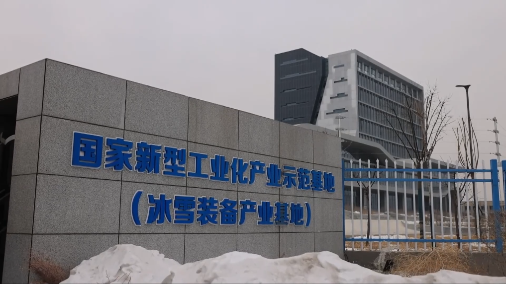 name=for(图2)