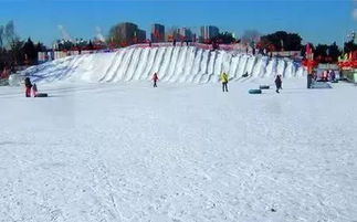 去雪地玩什么项目赚钱(图1)